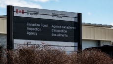 CFIA investigates unsolicited seed shipments
